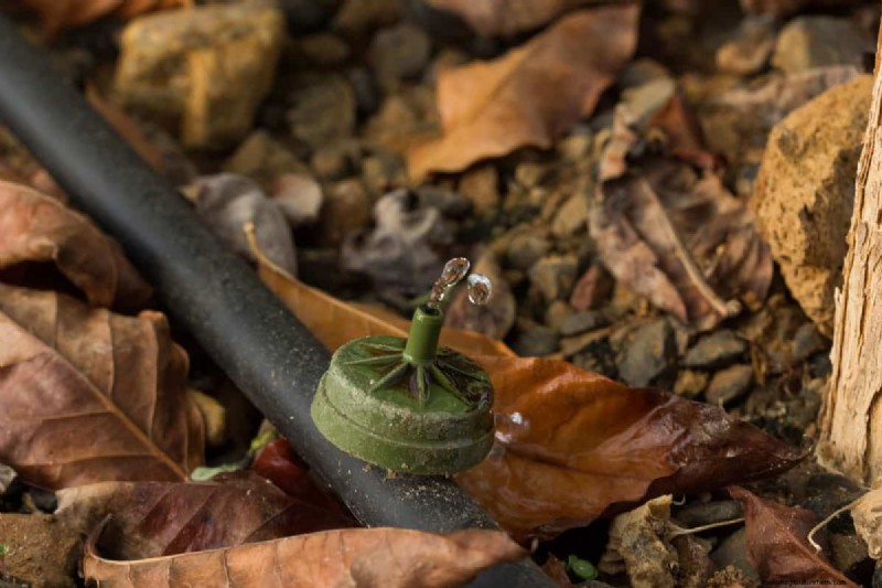 How Many Drip Emitters Can You Install on a Single Line? Expert Guide