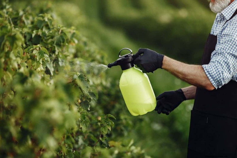 Is Liquid Fence Safe for Vegetable Gardens? A Practical Guide