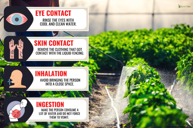 Is Liquid Fence Safe for Vegetable Gardens? A Practical Guide