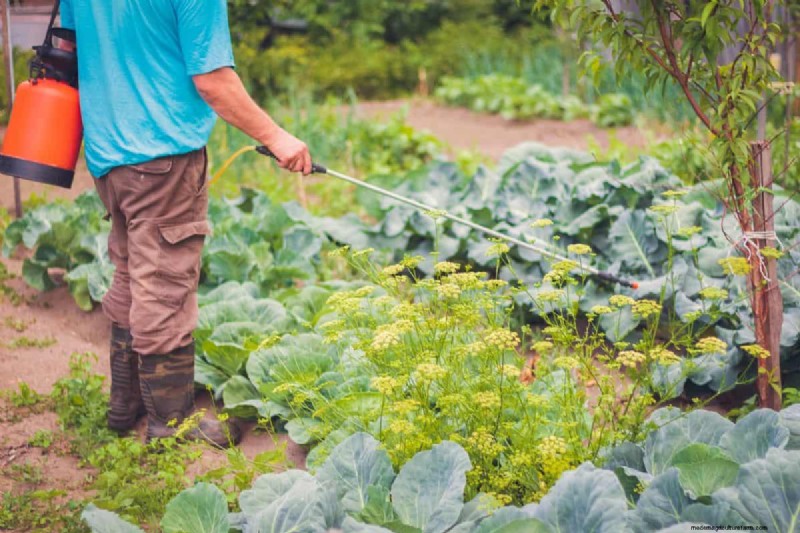 Is Liquid Fence Safe for Vegetable Gardens? A Practical Guide