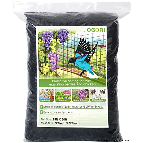 Can You Water Through Garden Netting? – A Practical Guide