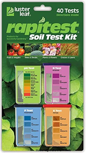 How to Prepare Desert Soil for a Thriving Garden