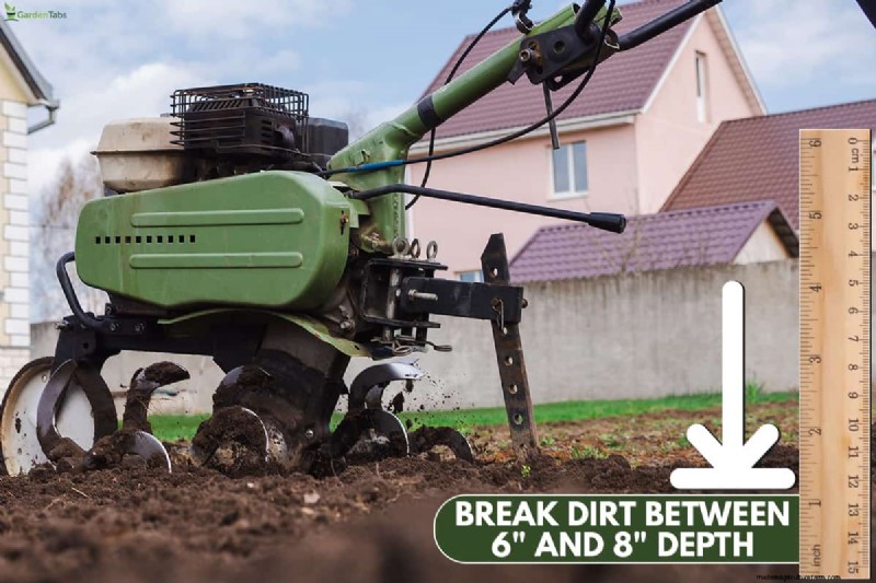 How to Prepare Desert Soil for a Thriving Garden