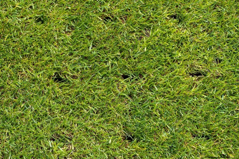Optimal Aeration Hole Spacing for a Healthy Lawn