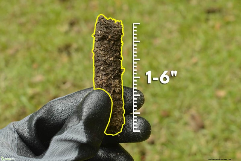 Optimal Aeration Hole Spacing for a Healthy Lawn