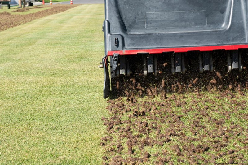 Optimal Aeration Hole Spacing for a Healthy Lawn