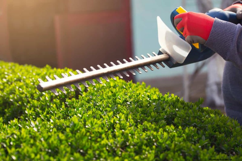 Prevent & Fix a Jammed Hedge Trimmer: Expert DIY Guide