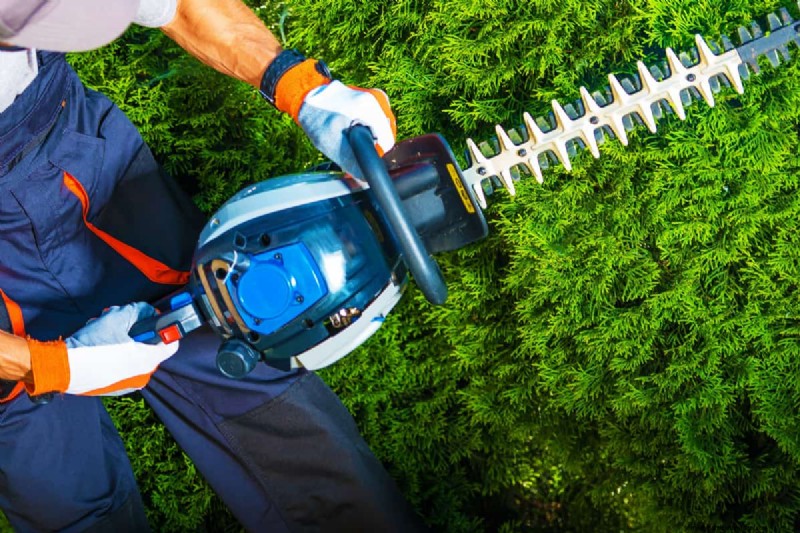 Prevent & Fix a Jammed Hedge Trimmer: Expert DIY Guide
