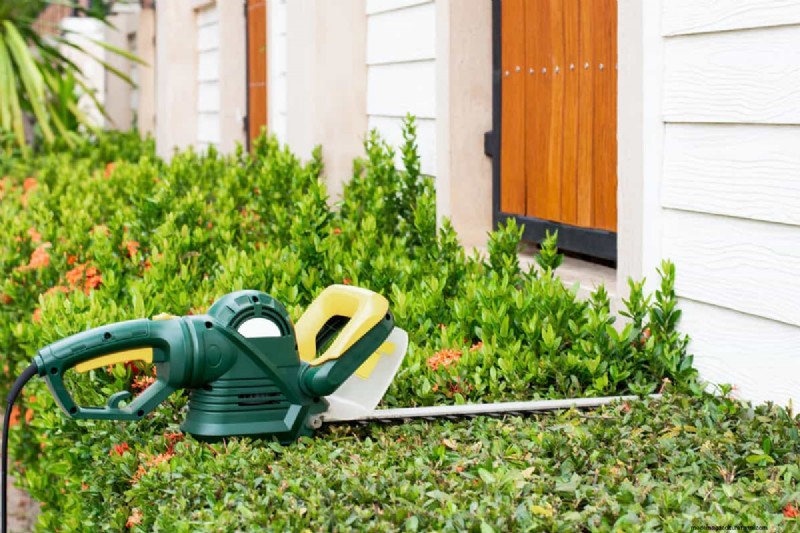 Prevent & Fix a Jammed Hedge Trimmer: Expert DIY Guide