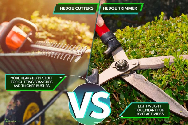 Prevent & Fix a Jammed Hedge Trimmer: Expert DIY Guide