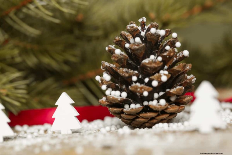 Efficiently Removing Pine Cones: Expert Tips for a Clean Yard