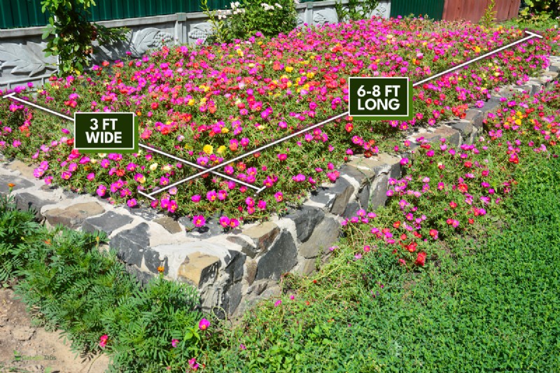 How Wide Should a Flower Bed Be? A Practical Guide for Gardeners
