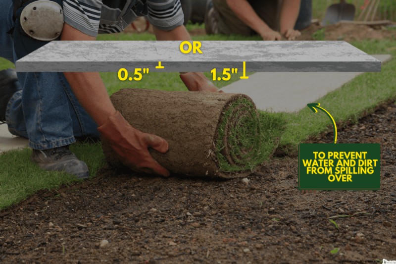 Must Sod Be Level With Concrete? Why It Should Be Lower for Drainage and Safety