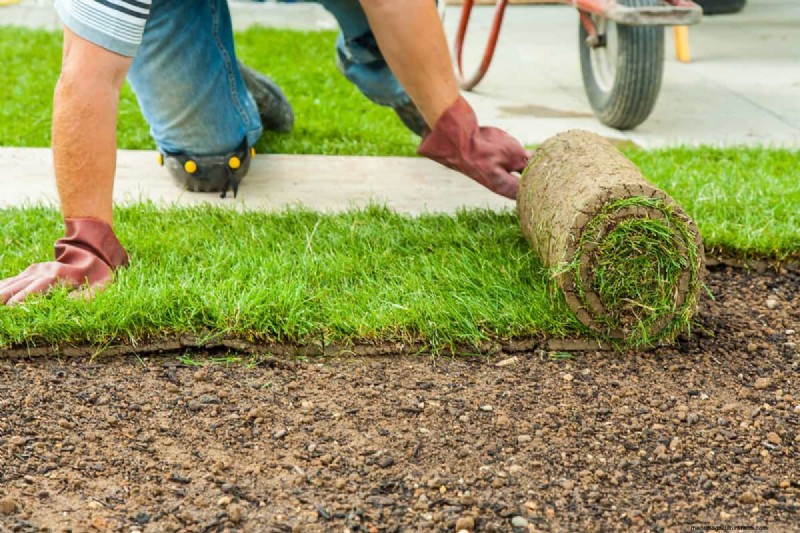 Must Sod Be Level With Concrete? Why It Should Be Lower for Drainage and Safety