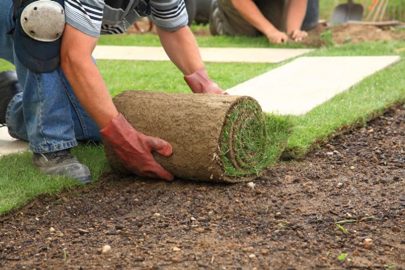 Must Sod Be Level With Concrete? Why It Should Be Lower for Drainage and Safety