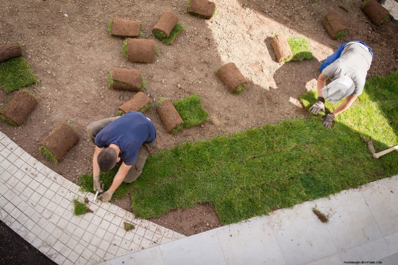 Must Sod Be Level With Concrete? Why It Should Be Lower for Drainage and Safety