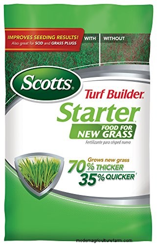 Must Sod Be Level With Concrete? Why It Should Be Lower for Drainage and Safety