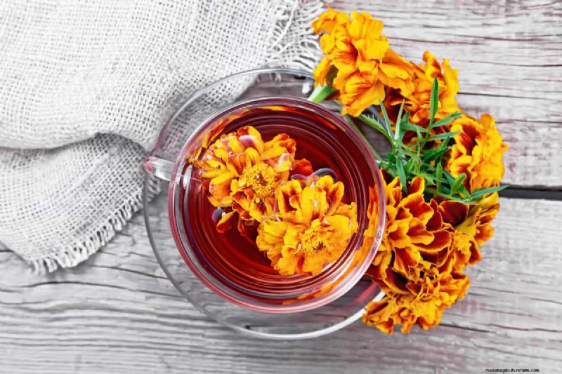 Full Sun for Marigolds: A Complete Beginner’s Guide to Growing, Caring, and Benefits