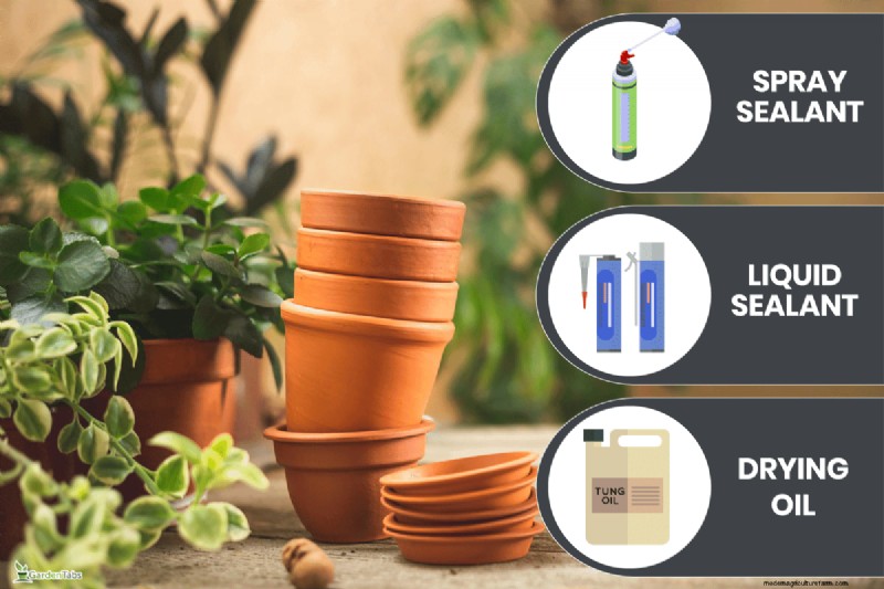 How to Seal Terracotta Pots: 5 Expert Techniques for Longevity and Plant Health