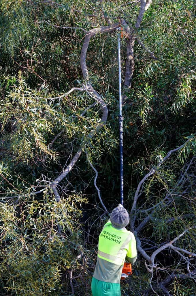 Step‑by‑Step: Reassemble Your Stihl Pole Saw Safely and Confidently