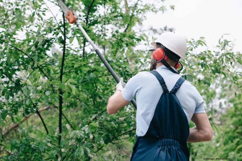 Step‑by‑Step: Reassemble Your Stihl Pole Saw Safely and Confidently