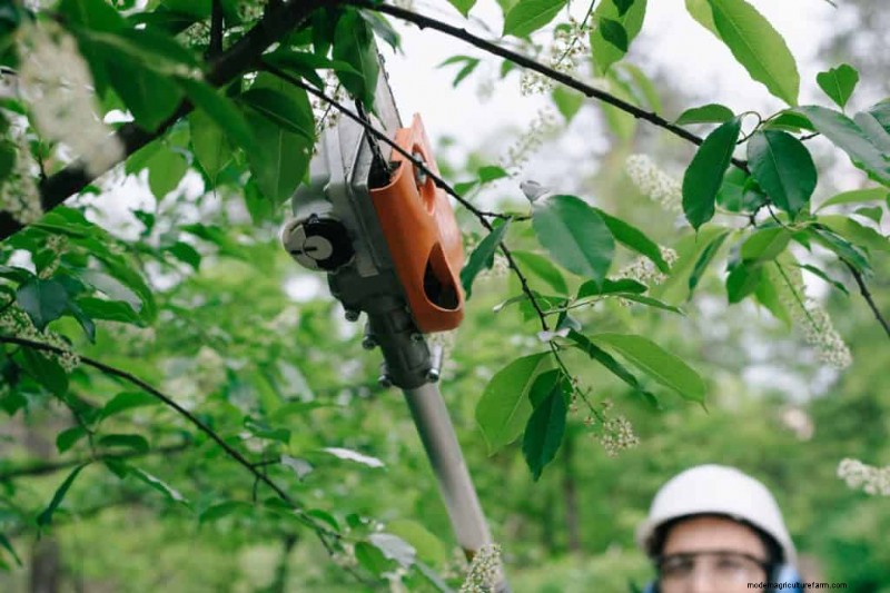 Step‑by‑Step: Reassemble Your Stihl Pole Saw Safely and Confidently