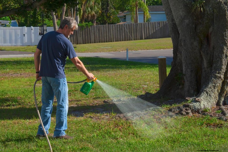 Effective Strategies for Removing Long‑Taproot Weeds