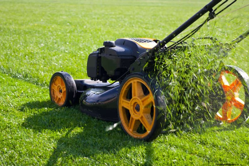 Effective Strategies for Removing Long‑Taproot Weeds