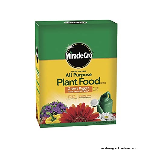 Using Miracle‑Gro on Grapevines: Benefits, Application, and Precautions
