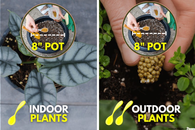 How Much Osmocote Fertilizer Do I Need for Potted Plants?