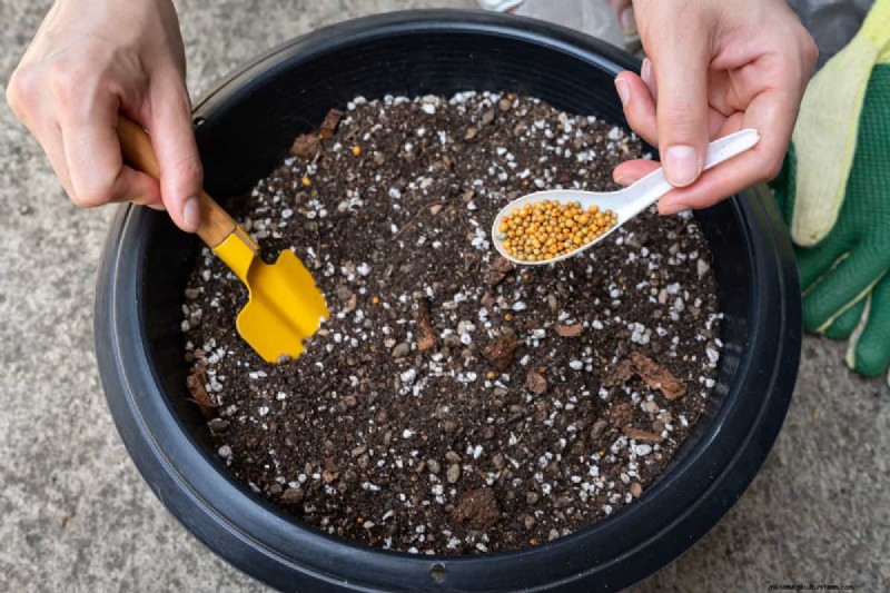 How Much Osmocote Fertilizer Do I Need for Potted Plants?