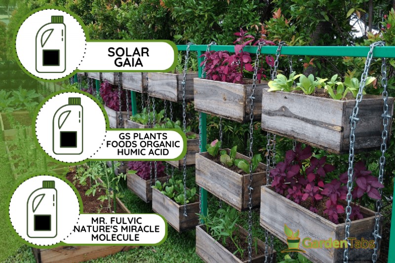 Must‑Know Humic & Fulvic Acids for Plants – Top 3 Picks & How to Use Them