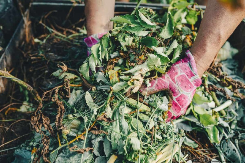 Must‑Know Humic & Fulvic Acids for Plants – Top 3 Picks & How to Use Them
