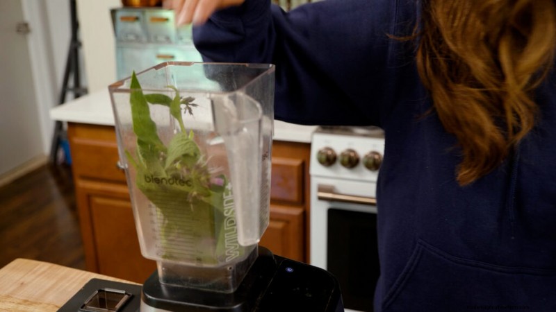 Comfrey Poultice: A Time‑Proven Herbal Remedy for Sprains, Strains, and Minor Injuries