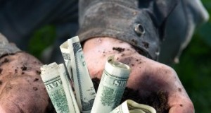 4 regole per rifinanziare la tua fattoria 
