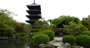 Japans tuinontwerp, elementen, Planten, Geschiedenis, Feiten