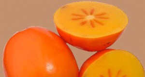 Guía de información de cultivo de caquis