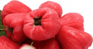 Guia de cultivo de rosas de maçã (maçã com cera)