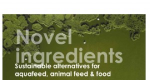 Novos ingredientes:alternativas sustentáveis ​​para a alimentação aquática, ração animal e comida