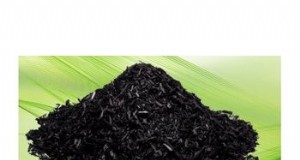 Biochar - Modelo FX - Enmienda orgánica del suelo