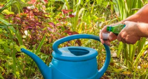 9 migliori fertilizzanti organici per nutrire le tue piante e il tuo giardino 