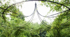 Chelsea Shop:Dê estrutura ao seu jardim com Agriframes 