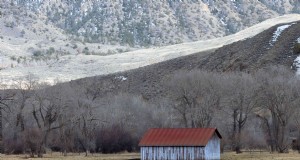 Conseils inestimables pour le Homesteader débutant 