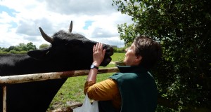 Leche sin sacrificar:¿Pagarán más los clientes para sacar a las vacas a pastar?