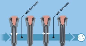 パルセータを正確にグラフ化する